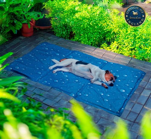 Prémium Kutya Hűsítő Matrac - L/50*90cm- 45D High-Tech Géllel