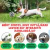 Kutya labda, kutyajáték - Interaktív, beszélő, világító labda - Fehér / 14 cm