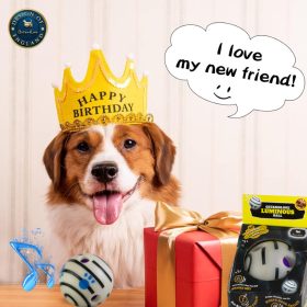   Kutya labda, kutyajáték - Interaktív, beszélő, világító labda - Fehér / 8.8 cm