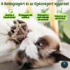 Prémium macskajáték - Ezüstszőlő, macska rágó és játékszett - 5 darabos kiszerelés -