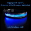Világító LED kutya nyakörv – Kék / M méret