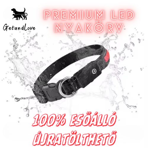 Világító LED kutya nyakörv – Piros / M méret