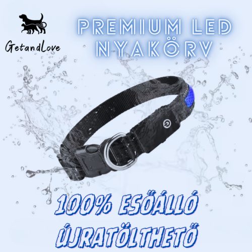 Világító LED kutya nyakörv – Kék / S méret