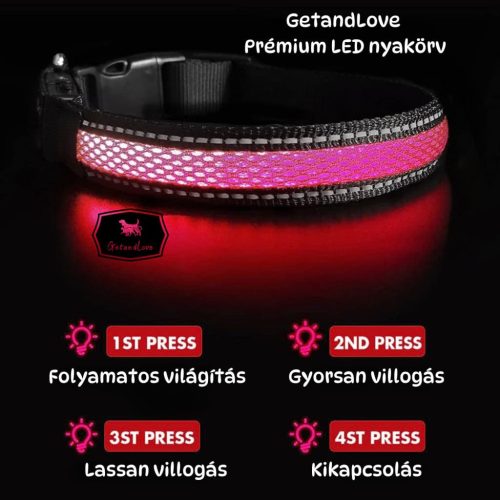 Világító LED kutya nyakörv – Piros / S méret